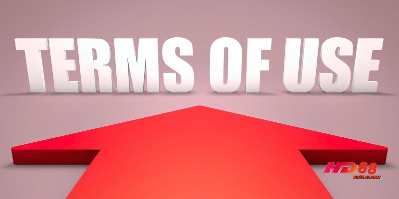 Phạm vi áp dụng điều khoản sử dụng HD88